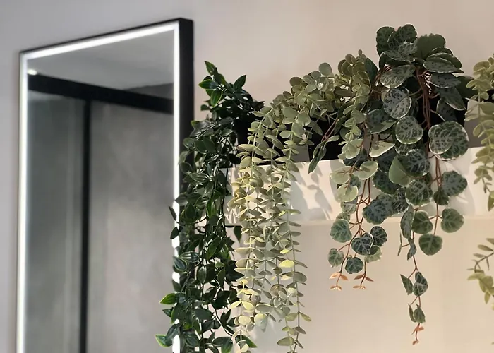 Apartmán A3 Sweet Homes L Secteur Centre-ville Minage L 1 - Animaux Acceptes *